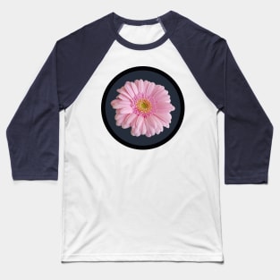 Pale Pink Gerbera Daisy Flower Circle Frame Baseball T-Shirt